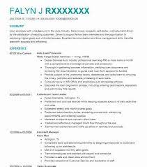 The table below includes more. Auto Loan Officer Resume Example Company Name Hiram Georgia
