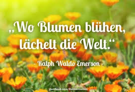 Schone Spruche Blumen Blumen Schone Spruche Blumen Zitate Spruche Garten Garten Zitate