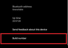This option will automatically appear next to a hammer icon on your iphone's settings menu when you plug it into your computer while running xcode. How To Enable Developer Options On Android 11
