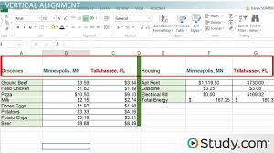 For a very small set of data, this can detract from the effectiveness of your presentation. How To Modify Cell Alignment Indentation In Excel Microsoft Office Class Video Study Com