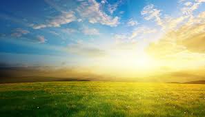 Image result for sunlight images