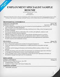 Hr Resume Writing Guide And Tips Resume Examples Federal Resume Instructional Design