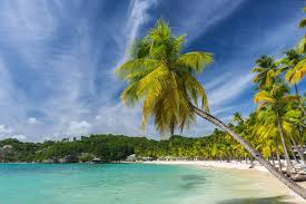 Schauen sie sich gästebewertungen an und buchen sie ein hotel am strand für ihre reise. Der Strand Der Caravelle Guadeloupe Die Inseln Von Guadeloupe