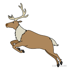Download the reindeer, holidays png on freepngimg for free. Jumping Reindeer Clipart Free Png Image Illustoon