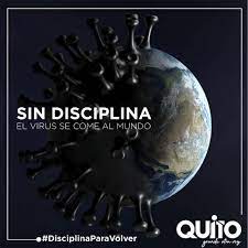 Check spelling or type a new query. Sin Disciplina El Virus Se Come Al Municipio De Quito ÙÙŠØ³Ø¨ÙˆÙƒ