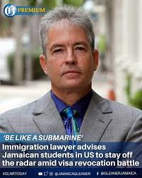 GOOD MORNING EVERYONE...WISHING YOU ALL A LOVELY SUNDAY🙏🙌👏❤️🥀🌹