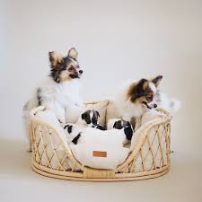 If you have a small or medium sized dog, this cool diy dig bed may be the best choice for your pup. Vine Dog Bed Bed For Dog Medium Size Handmade Eco Bed For Dogs And Cats Summer Beds For Dogs Cute Dog Beds Dog Bed Dog Gifts