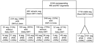 Comparison Of Low Dose Dobutamine Gradient Echo Magnetic