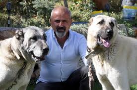 Sivas Kangali Haberleri Guncel Sivas Kangali Haberleri Ve Sivas Kangali Gelismeleri