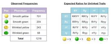 Where observed_range is the counts associated with each category of data and expected_range is the expected counts for each category under the null hypothesis. Chi Squared Test Bioninja