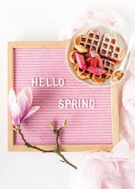 Joghurt Waffeln Rezept Mit Rhabarber Und Cranberrry Sauce Backen Fruhling Lecker Einfach Osterbrunch Waffeln Backen Ostern Joghurt Waffeln Rhabarber Joghurt