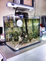 Osmoregula si merujuk kepada cara p engawalan aliran air di seluruh badan mereka serta termasuk komposisi tisu badan, insang dan fungsi ginjal. Promosi Akuarium Ikan Air Aquarium Putrajaya Marina Facebook