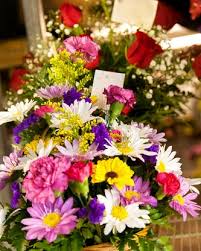 Plants from unique make a long lasting and affordable gift for any occasion. About Us Terri S Florist Columbus Ga