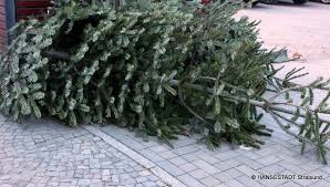 Hier steht, wann die abfuhr in welchem stadtteil ist. Wann Werden Die Weihnachtsbaume Abgeholt