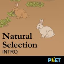 Natural selection 2 is a fairly demanding game with relatively poor optimization. Natural Selection Science Games Legends Of Learning