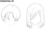 Anime Hair Ponytail