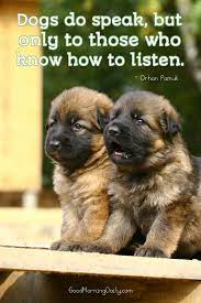 Dogs Do Speak But Only To Those Who Know How To Listen Orhan Pamuk Animal Photography Pet Photographer Dogs