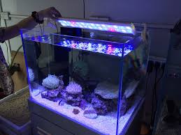 China Best Selling 79 92cm Fish Aquarium Led Light For Coral Reef China Led Aquariuim Light Led Aquarium Lighting
