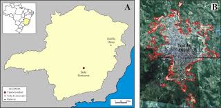 Check spelling or type a new query. 1 Localizacao De Teofilo Otoni No Estado De Minas Gerais A E Area Download Scientific Diagram