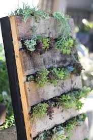 Excellent Use For Old Pallets Succulent Wall Garden Pallet Garden Vertical Garden