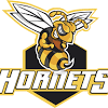 Green hornets logo is one of the clipart about running logos clip art,hockey logos clip art,christmas logos clip art. Https Encrypted Tbn0 Gstatic Com Images Q Tbn And9gctu7phaq7c7joghikqwgcftdjnrnx04f4q2egtiilqe8z4so8me Usqp Cau