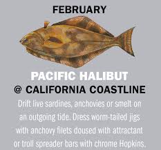 Today's topic is how to make an easy spreader bar at home California Fishing Calendar