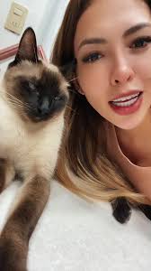 Siamese Cat Close-Up: Adorable Interaction & Relaxation