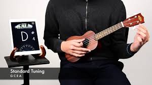 Home & garden online trade show. Kala Tuning App Youtube