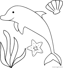 We did not find results for: Dolphin Coloring Pages Coloringall