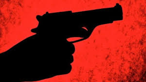 Image result for murder  gun