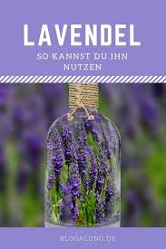 Garten Tipp Lavendel Ein Segen Fur Den Garten Garten Lavendel Lavendel Lavendel Pflanzen