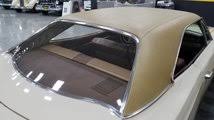 Image result for Sand Pebble Beige 1969 Valiant