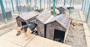 Doguya Ve Batiya Barinak Onerisi Ankara Baskent Haberleri