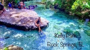 It is helpful that kelly park, otherwise known as rock springs is epically. Kelly Park Rock Springs Drone Tour Apopka Fl Youtube