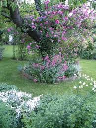 Mardi Un Peu De Repit Jardins Mur Floral Rosier Liane