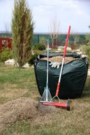 If you're using a dethatching machine, be sure to mark any shallow irrigation lines, sprinkler heads or buried utility lines before starting. Easy To Follow Instructions For Dethatching Your Lawn Bless My Weeds