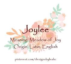 Joylee Baby Girl Names Hipster Baby Names Girl Names