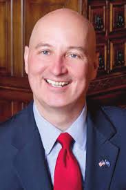 Wayne Layout Template