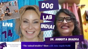 Canine Relationships & Behavior Research/ Dog Lab...on the street! Dr.  Anindita Bhadra