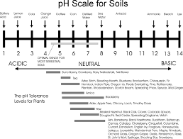 Chart Of Soil Ph And Examples Of Plants That Thrive In The