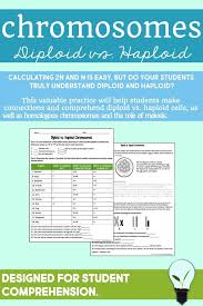 This Is A 2 Page Practice Worksheet That Covers Chromosome Numbers Homologous Chromosomes Diploid Cells A Biology Classroom Biology Activity Biology Lessons
