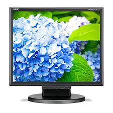 Nec Display Solutions E172m Bk 17 Desktop Monitor With Led Backlighting