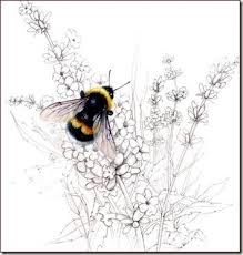 Bombus Hortorum The Garden Bumble Bee Valerie Littlefield Artist Bee Art Bee Drawing Honey Bee Tattoo