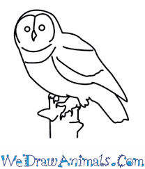 These photo editing tools make it easy to create cartoon images fast. How To Draw An Owl