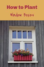 We find clever solutions for creating gardens in small, urban and indoor spaces. Window Boxes Gardening Channel
