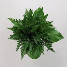 Xyxcmor 2pcs natural dried flowers bouquet dried daisy flowers artificial rose flowers wedding party bouquets arrangements for valentine's day home vase party decorations. Daisy Wedding Bouquet Diy Wedding Flower Tutorials