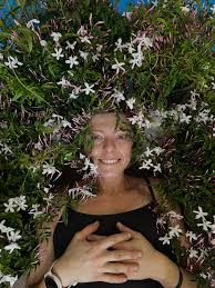 Image result for Aframomum polyanthum