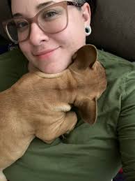 Do French Bulldogs sleep in random places?