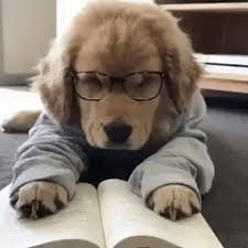 Gif I M Tired Of Reading A Book Cute Baby Dogs Baby Dogs Cute Baby Animals