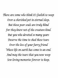 My Heart Is Broken Pet Loss Expressions Of Sympathy Pets